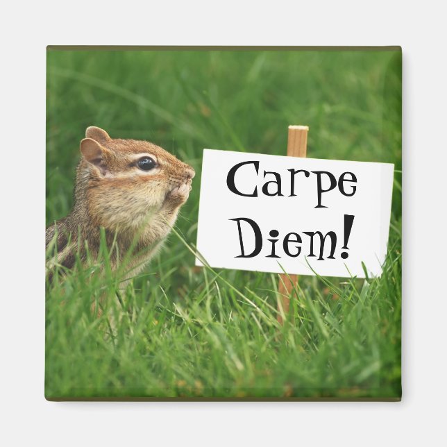 Carpe Diem! Chipmunk med tecken Magnet (Framsidan)
