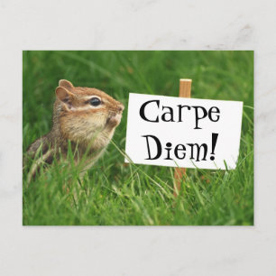 Carpe Diem! Chipmunk med tecken Vykort