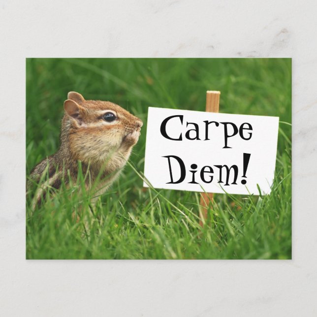 Carpe Diem! Chipmunk med tecken Vykort (Framsida)