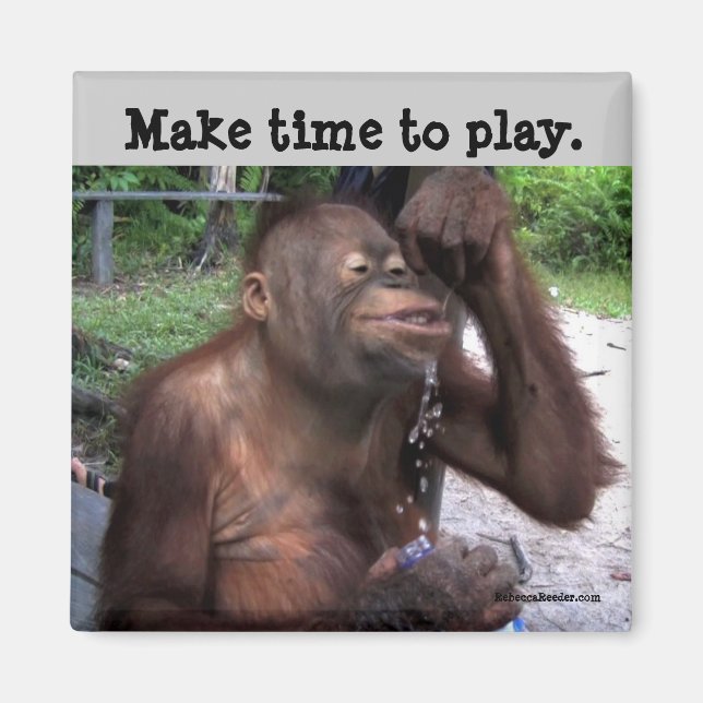 Carpe Diem Cute Wildlife Magnet (Framsidan)