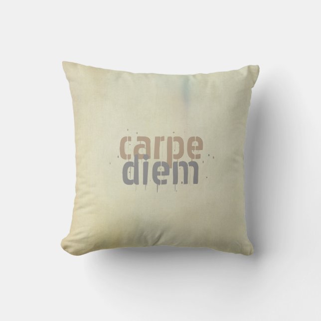 carpe diem dekorativ kudde shabby chic decor (Framsida)