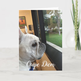Carpe Diem-Din värld väntar! Helgkort