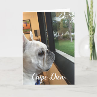 Carpe Diem-Din värld väntar! Helgkort