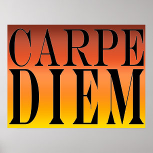 Carpe Diem eize Day Latin Quote Happity Poster