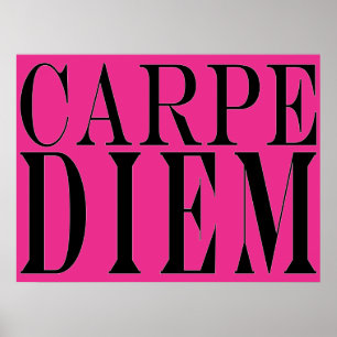 Carpe Diem eize Day Latin Quote Happity Poster