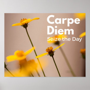 Carpe Diem griper dagaffischen Poster