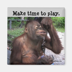 Carpe Diem gulligt djurliv Magnet