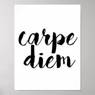 Carpe Diem inspirera citationsteckenaffisch Poster