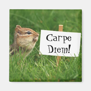 Carpe Diem jordekorremagnet Magnet