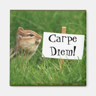 Carpe Diem! Jordekorren med undertecknar Magnet