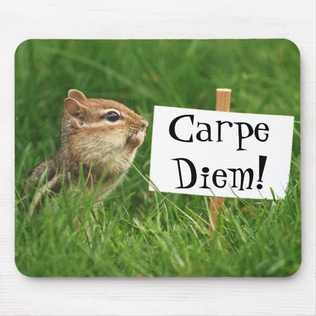 Carpe Diem! Jordekorren med undertecknar Musmatta (Framsidan)