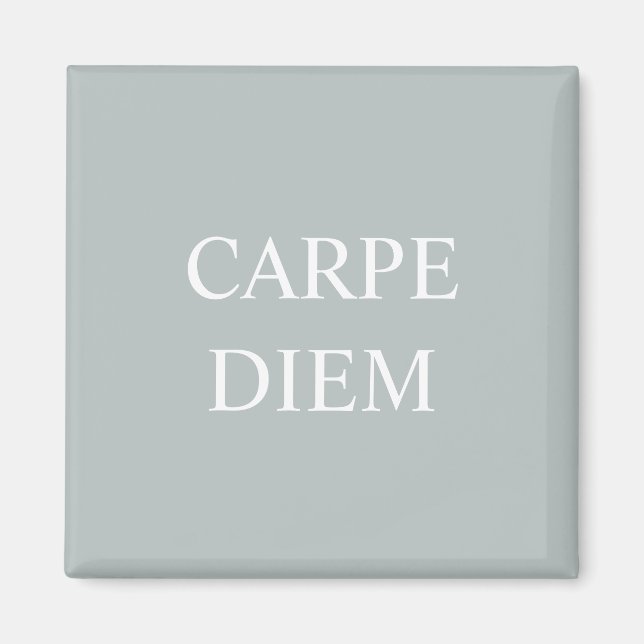 Carpe Diem Latin Quote Magnet (Framsidan)