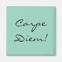 Carpe Diem magnet