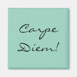 Carpe Diem magnet