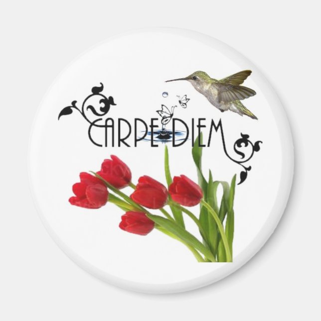 carpe diem magnet (Framsidan)