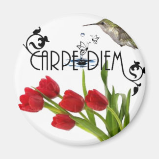 carpe diem magnet