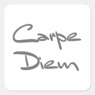 CARPE DIEM Modern Coola Text Fyrkantigt Klistermärke