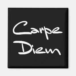CARPE DIEM Modern Coola Text Magnet