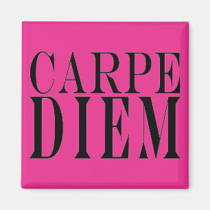 Carpe Diem Seize Day Latin Quote Happy Magnet