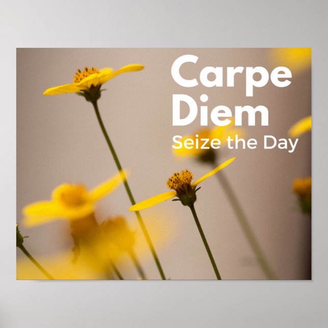 Carpe Diem Seize the Day Poster (Framsidan)