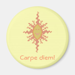Carpe diem! Solnedgång Magnet