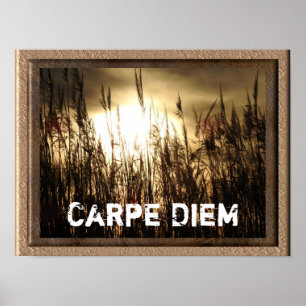 Carpe Diem - teckningen poster utskrift