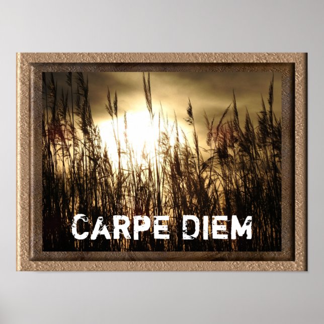 Carpe Diem - teckningen poster utskrift (Framsidan)