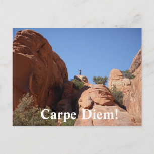 Carpe Diem! Vykort