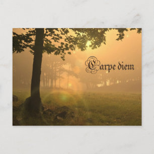 Carpe diem vykort