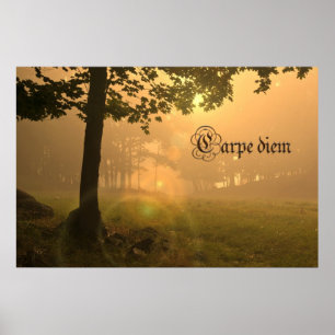 Carpe diemaffisch poster