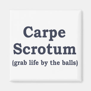 Carpe pung magnet