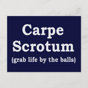 Carpe Scrotum Vykort