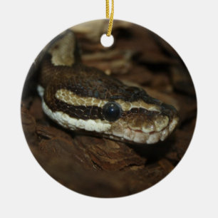 Carpet python julgransprydnad keramik
