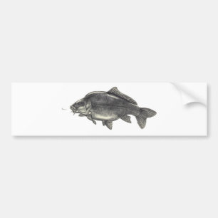 Carpfiske Bildekal