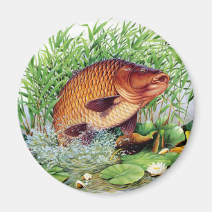 Carpfiske Magnet