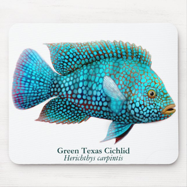 Carpintis Texas Cichlid Mousepad Musmatta (Framsidan)