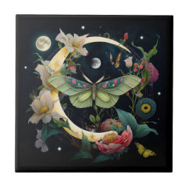 Carreau en céramique  -  Papillon de nuit Kakelplatta