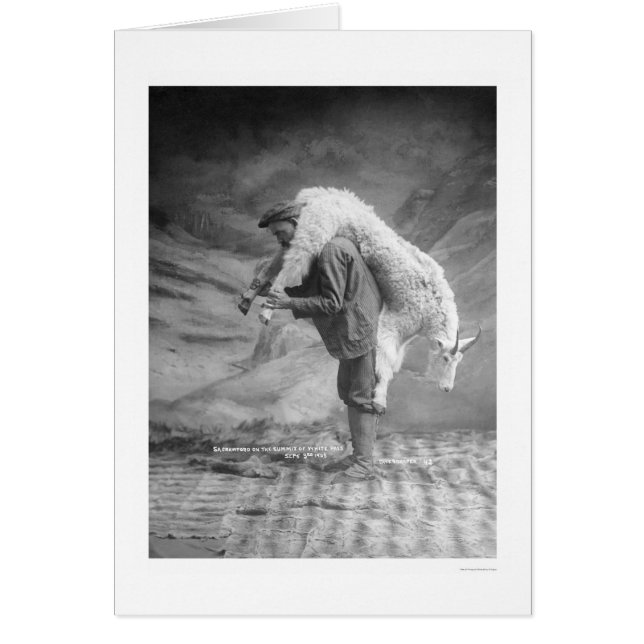 Carriage Goat Alaska 1905 Hälsningskort (Framsidan)