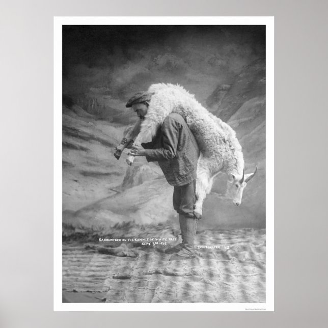 Carriage Goat Alaska 1905 Poster (Framsidan)