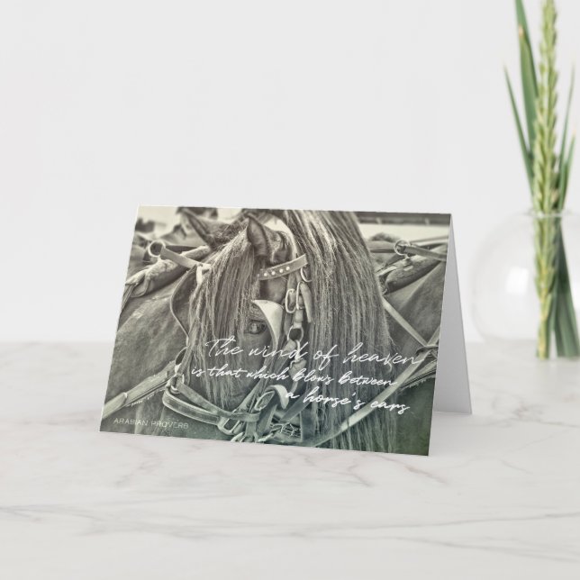 CARRIAGE HORSE Greeting Card Tack Kort (Framsida)