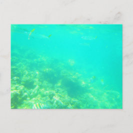CARRIBEAN SEA POSTCARD 12 VYKORT