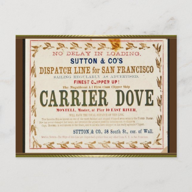 Carrier Dove Clipper Sailing Vykort (Framsida)