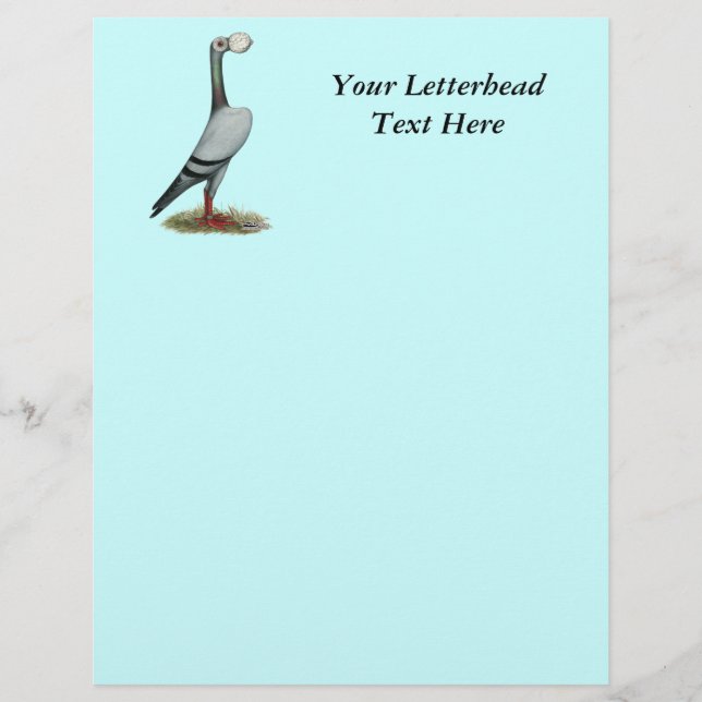 Carrier Pigeon 2012 (Framsida)
