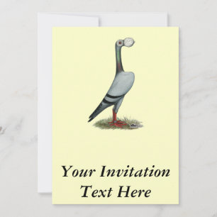 Carrier Pigeon 2012 Inbjudningar