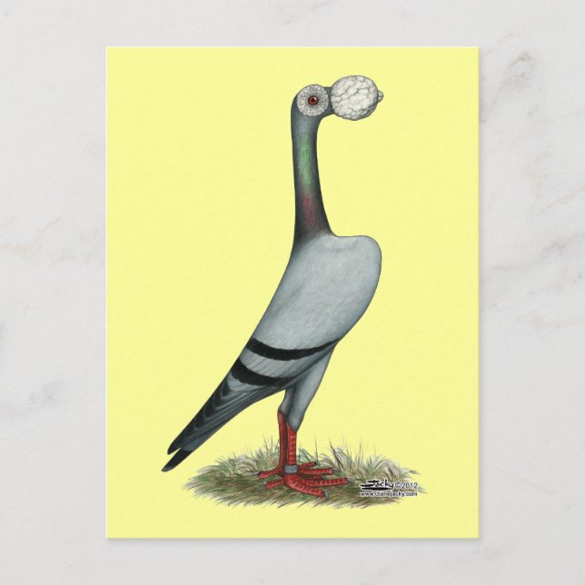 Carrier Pigeon 2012 Vykort (Framsida)