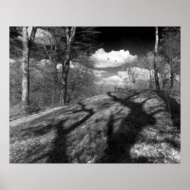 Carrion. Poster (Framsidan)