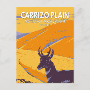 Carrizo Plain National Monument California Vintage Vykort