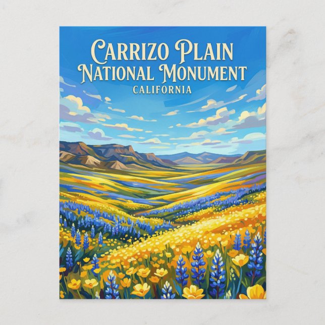 Carrizo Plain National Monument Kalifornien Vykort (Framsida)