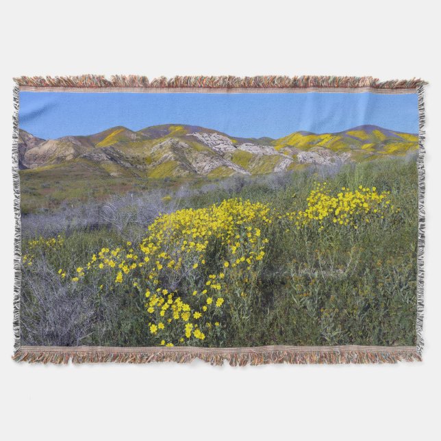 Carrizo Plain National Monument Mysfilt (Framsidan)