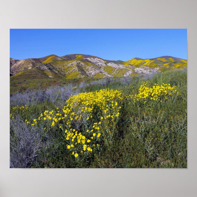 Carrizo Plain National Monument Poster (Framsidan)